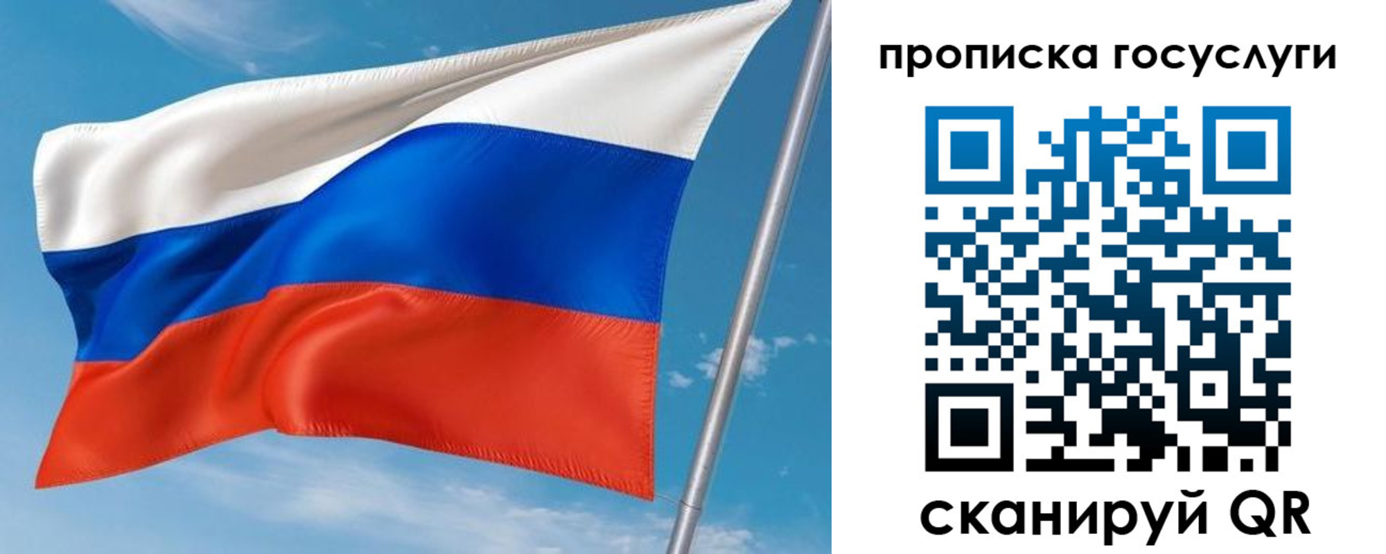прописка в Новодвинске